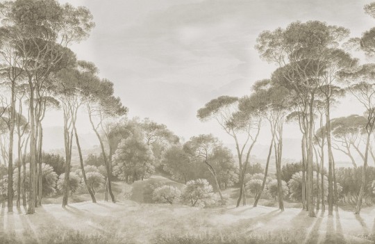 Rebel Walls R18841 Scenic Landscapes Pine Wood Vintage - mural w śródziemnomorskie rośliny