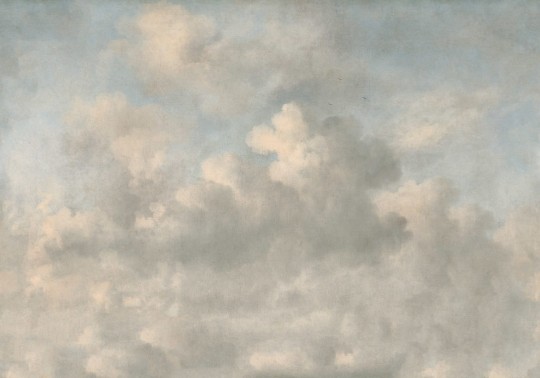 Rebel Walls R18817 Scenic Landscapes Vintage Clouds Sky - mural w chmury