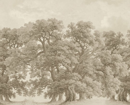 Rebel Walls R18821 Scenic Landscapes Vintage Oaks Beige - mural w dęby