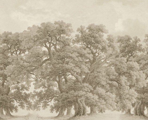 Rebel Walls R18821 Scenic Landscapes Vintage Oaks Beige - mural w dęby