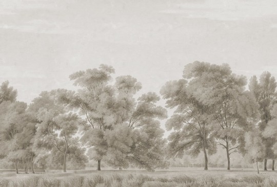 Rebel Walls R18827 Scenic Landscapes Whispering Forest Beige - mural w delikatne drzewa