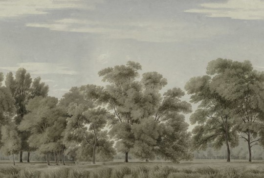 Rebel Walls R18829 Scenic Landscapes Whispering Forest Green - mural w delikatne drzewa