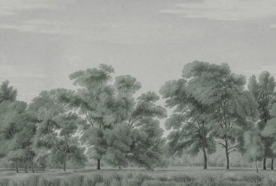 Rebel Walls R18828 Scenic Landscapes Whispering Forest Blue - mural w delikatne drzewa