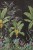 212b16be68ae9d4d1e361521559f5e1c