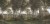 af4c692b61b2dba0b6cd6c53783eafcc