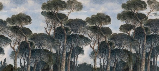 Rebel Walls R18798 Scenic Landscapes Umbrella Pines Vintage - mural w śródziemnomorskie drzewa