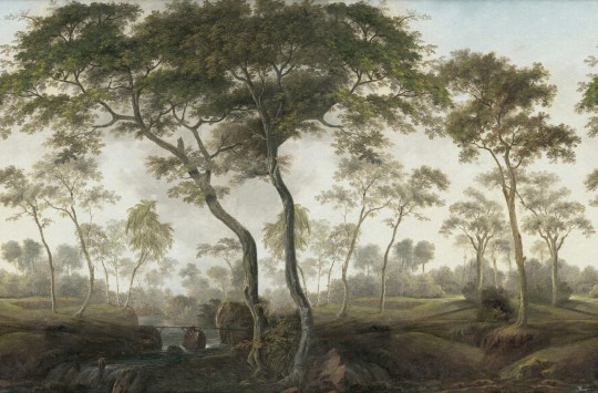 Rebel Walls R18802 Scenic Landscapes The Green Forest Morning - mural w motyw lasu