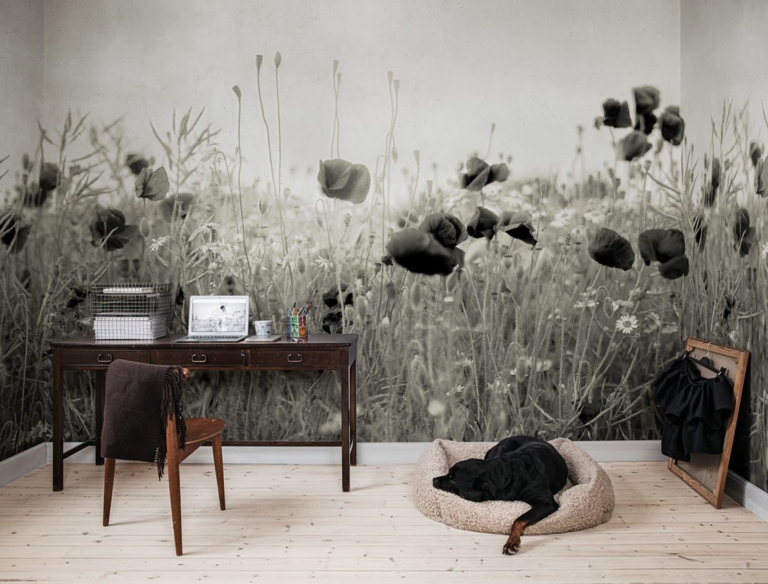 Rebel Walls R18870 Mystic Shades Poppy Field Vintage - mural w maki na łące