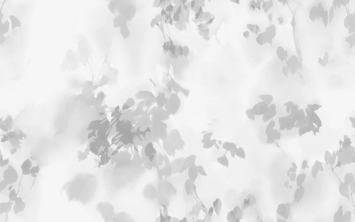1f47b1e62ff2a17329064981168180a0