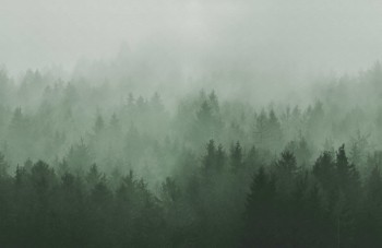 e73de0f5ad851b40f759ed5f5fcc8a6c