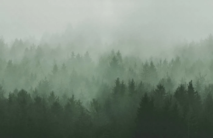 e73de0f5ad851b40f759ed5f5fcc8a6c