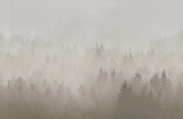 Rebel Walls R18867 Mystic Shades Cloudy Forest Beige - mural w zamglony las