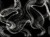 b4e6e989be315c90a3cb5a54edbe5658