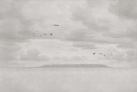 Rebel Walls R18845 Mystic Shades Seabirds Beige - mural w morski krajobraz