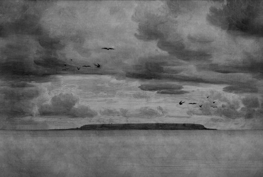 Rebel Walls R18846 Mystic Shades Seabirds Black & White - mural w morski krajobraz