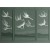 c3c9924ac45add046bde4ac97ca38241