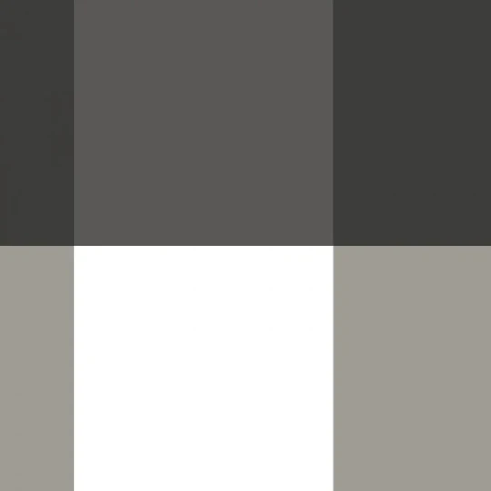 Casadeco 200379321 Galons & Frises La Charmante Noir fusain - border w kratkę