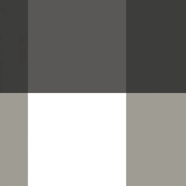 Casadeco 200379321 Galons & Frises La Charmante Noir fusain - border w kratkę