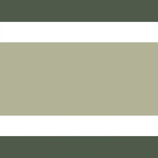 Casadeco 200387732 Galons & Frises L'elegante Vert argile - border w paski
