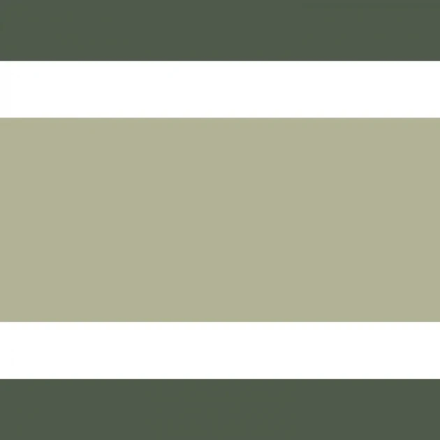 Casadeco 200387732 Galons & Frises L'elegante Vert argile - border w paski
