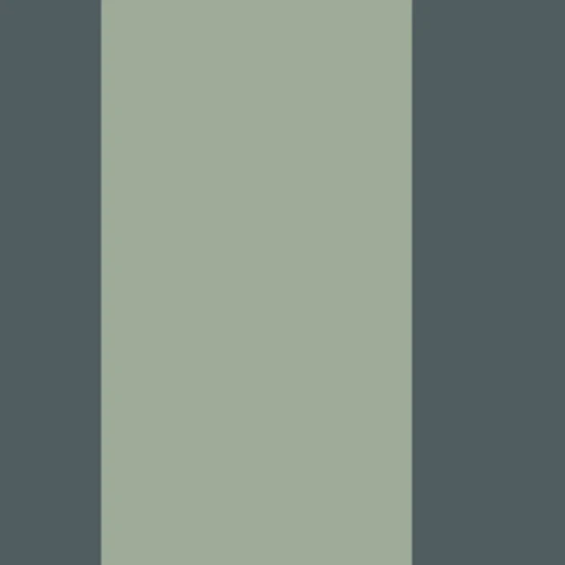 Casadeco 200476771 Galons & Frises La Retro Celadon/bleu petrole - border w retro pasy