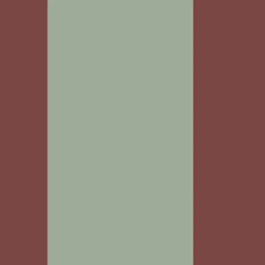 Casadeco 200478704 Galons & Frises La Retro Celadon/amarena - border w retro pasy