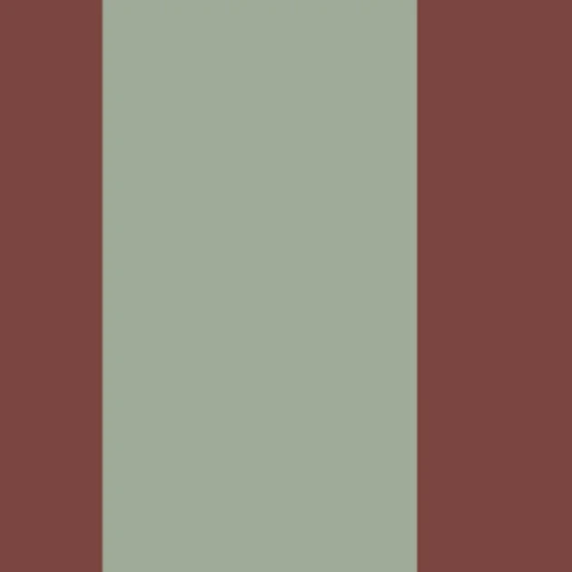 Casadeco 200478704 Galons & Frises La Retro Celadon/amarena - border w retro pasy