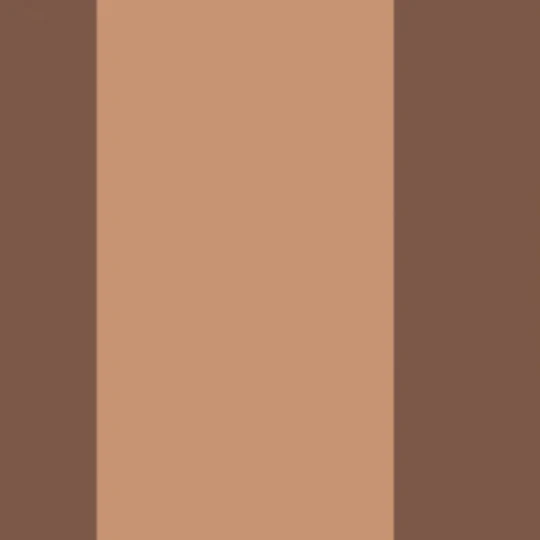 Casadeco 200472800 Galons & Frises La Retro Caramel - border w retro pasy