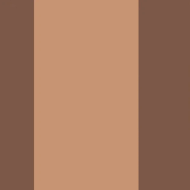 Casadeco 200472800 Galons & Frises La Retro Caramel - border w retro pasy