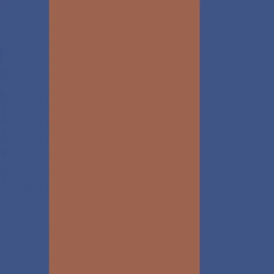 Casadeco 200476273 Galons & Frises La Retro Terre de sienne/bleu outremer - border w retro pasy