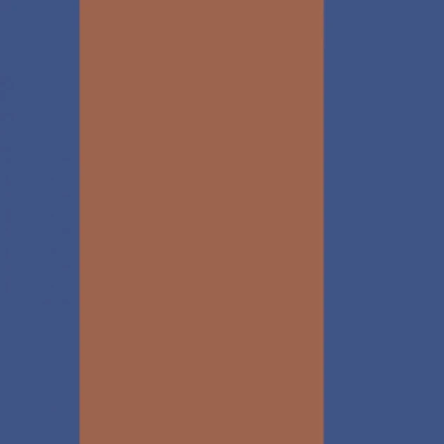 Casadeco 200476273 Galons & Frises La Retro Terre de sienne/bleu outremer - border w retro pasy
