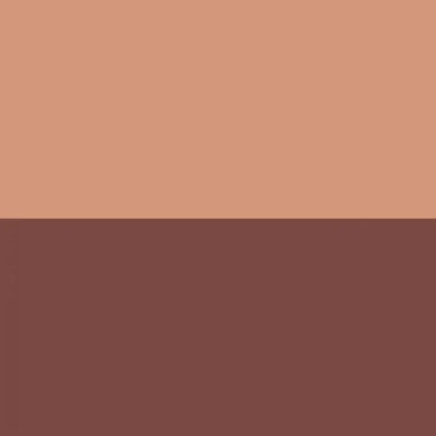 Casadeco 200488875 Galons & Frises La Sublime Terracotta/amarena - border w poziome pasy