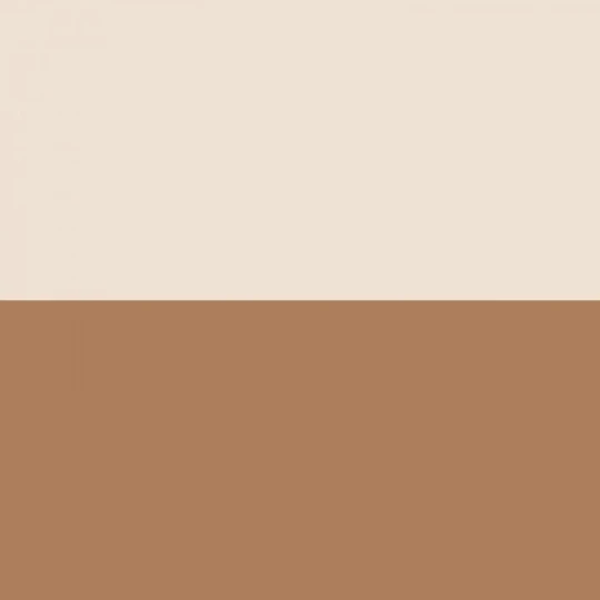 Casadeco 200482918 Galons & Frises La Sublime Caramel - border w poziome pasy