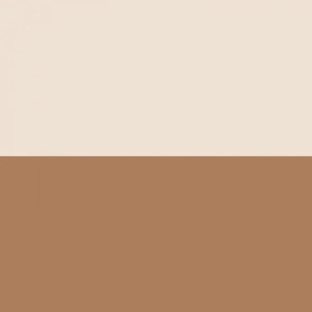 Casadeco 200482918 Galons & Frises La Sublime Caramel - border w poziome pasy