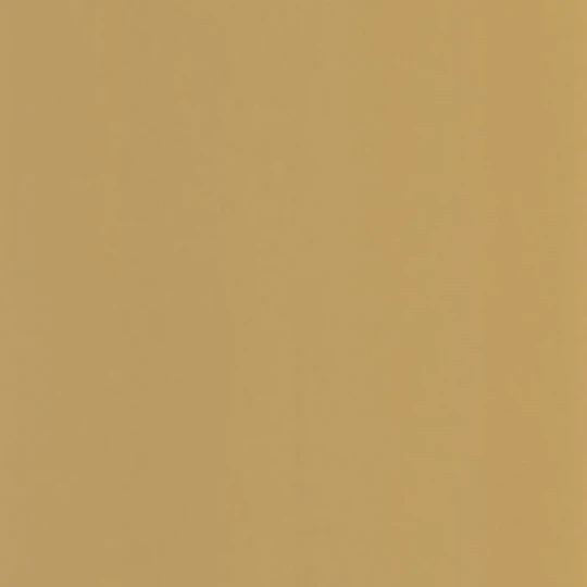 Casadeco 200332424 Galons & Frises Pigments Jaune ocre - oliwkowa matowa tapeta