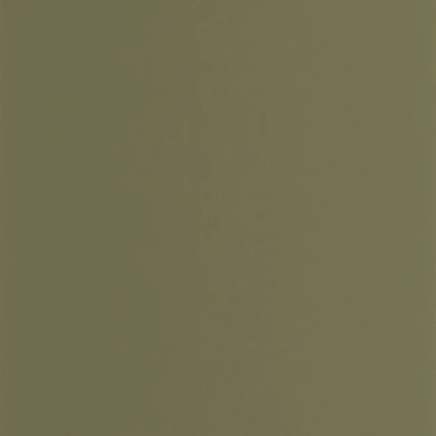 Casadeco 200337606 Galons & Frises Pigments Vert kaki - matowa tapeta w kolorze khaki