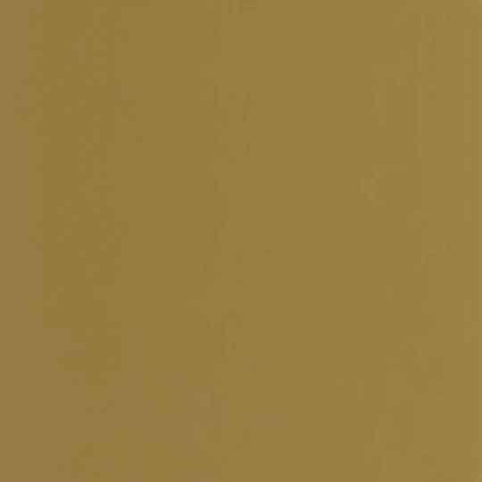 Casadeco 200337474 Galons & Frises Pigments Olive - oliwkowa matowa tapeta