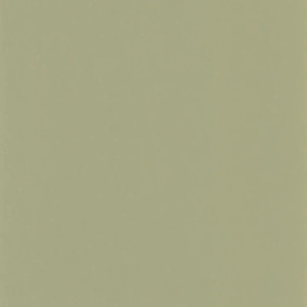 Casadeco 200337337 Galons & Frises Pigments Argile verte - matowa tapeta w kolorze zgaszonej zieleni