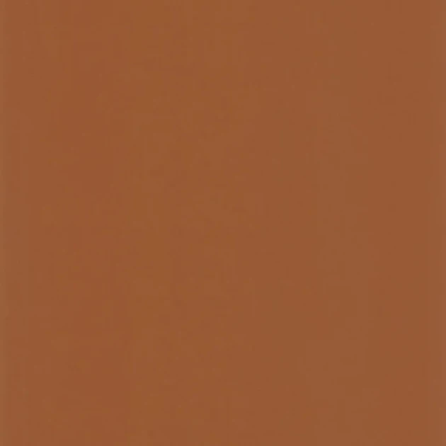 Casadeco 200333443 Galons & Frises Pigments Terre de sienne - matowa tapeta w kolorze ciepłego brązu