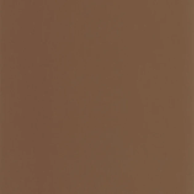 Casadeco 200332909 Galons & Frises Pigments Cacao - brązowa matowa tapeta