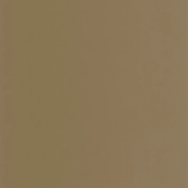 Casadeco 200332707 Galons & Frises Pigments Tabac - matowa tapeta w ziemistym kolorze
