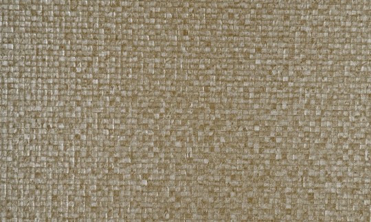 Tapeta Arte Monsoon 75103