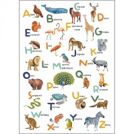 Caselio 105672305 Les Minis Mondes Apprenons L Alphabet Multicouleurs S - mural dla dzieci w zwierzęta i alfabet