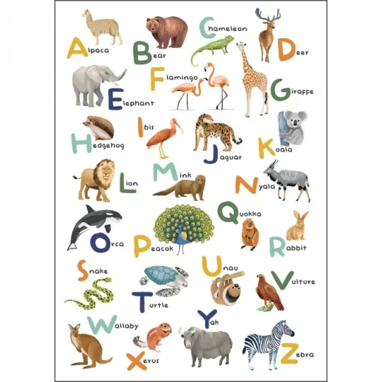 Caselio 105857005 Les Minis Mondes Let S Learn The Alphabet Multicouleurs S - mural dla dzieci w zwierzęta i alfabet