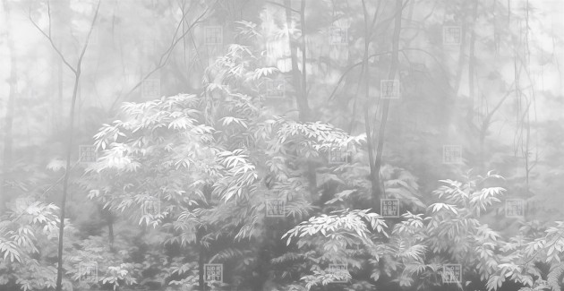 London Art 24019 2 Exclusive Wallpaper 24 Into the woods - mural w roślinny motyw