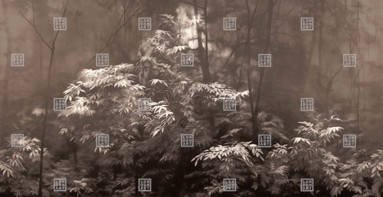 London Art 24019 4 Exclusive Wallpaper 24 Into the woods - mural w roślinny motyw