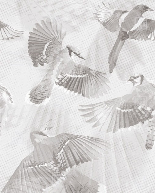 London Art 24046 1 Exclusive Wallpaper 24 Symphonia - mural w ptaki