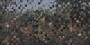 c167667d2dc8875b25309e628dfccc93
