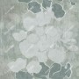 ef99d2fb8c6aed81210204b887dae632