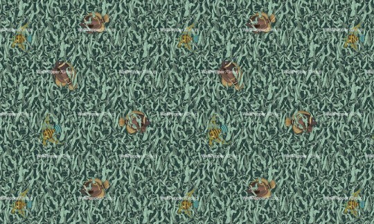 Wallpepper RC-07-A Riccardo Capuzzo Seaweed - mural w podwodną roślinność